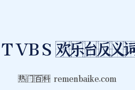 TVBS欢乐台反义词是什么意思的图片